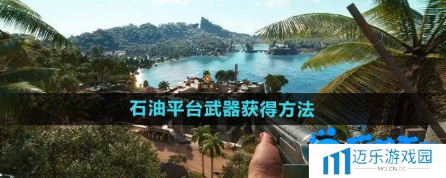 《孤岛惊魂6》天堂石油平台武器获得方法