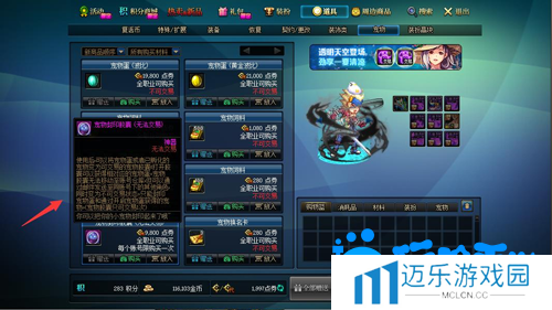 《DNF》宠物胶囊使用方法