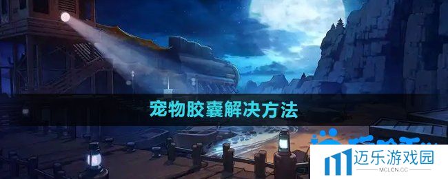 《DNF》宠物胶囊用不了解决方法