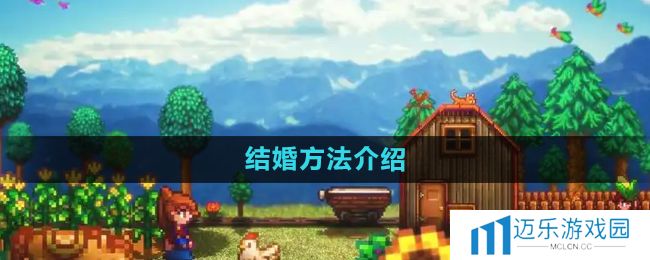 《星露谷物语》结婚方法介绍