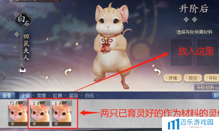 《倩女幽魂》灵伴升阶方法