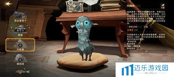 《哈利波特：魔法觉醒》魔法灯谜会答案一览