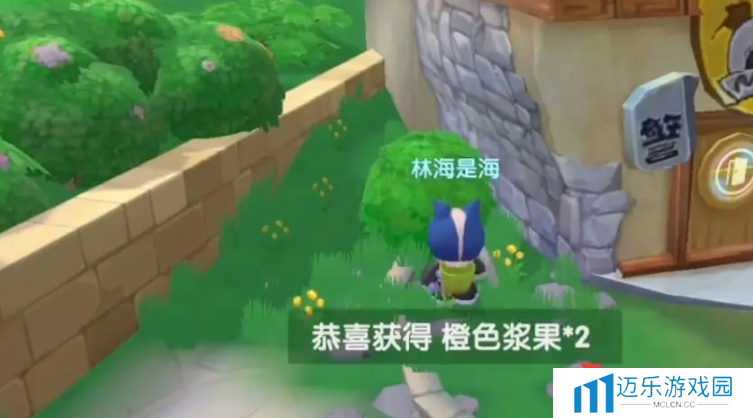 《摩尔庄园》橙色浆果获取方法