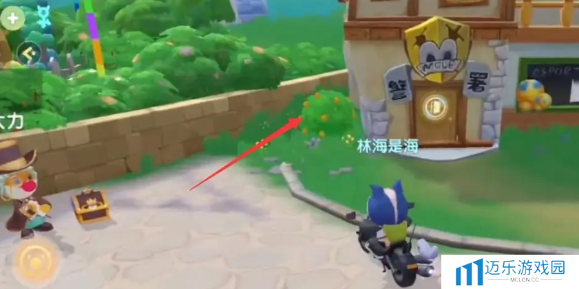 《摩尔庄园》橙色浆果获取方法